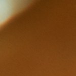 tomates rellenos de verduras