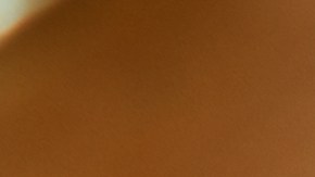 tomates rellenos de verduras