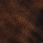 Robalo glaseado con soja y sésamo