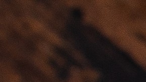 Robalo glaseado con soja y sésamo