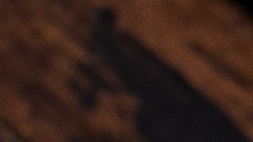 Robalo glaseado con soja y sésamo