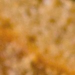 Robalo relleno de verduras