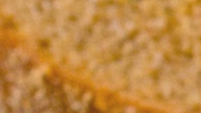 Robalo relleno de verduras