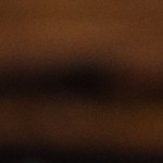 tomates rellenos de pollo