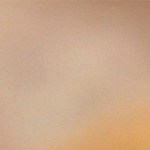 Cebollas rellenas de quinoa y vegetales