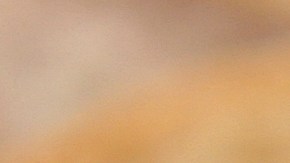 Cebollas rellenas de quinoa y vegetales