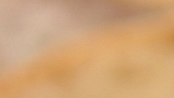 Cebollas rellenas de quinoa y vegetales