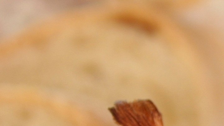 Cebollas rellenas de quinoa y vegetales