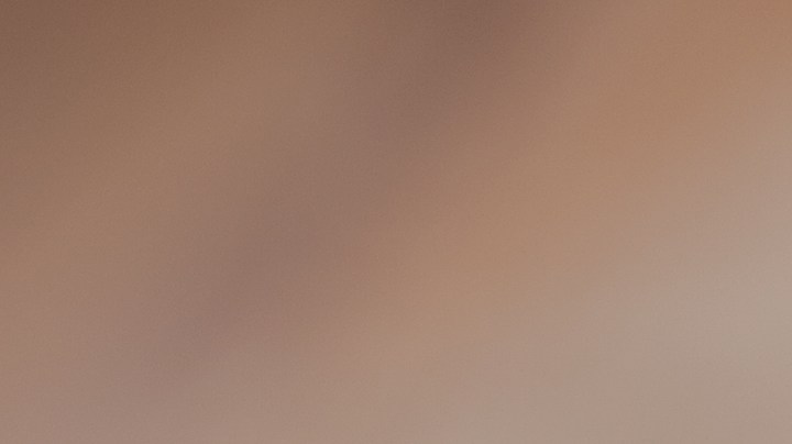 tomates rellenos de arroz al horno