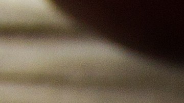 Cebollas rellenas de calabacín y ricotta