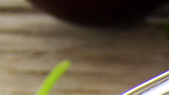 Cebollas rellenas de calabacín y ricotta