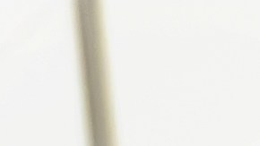 Cebollas rellenas de gambas y ajo