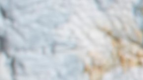 Cebollas rellenas de lentejas y zanahorias