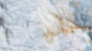 Cebollas rellenas de lentejas y zanahorias