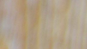 Cebollas rellenas de pavo y queso crema