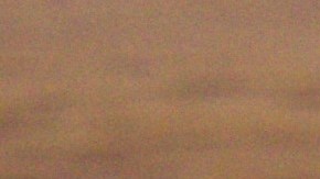 Cebollas rellenas de salmón y eneldo