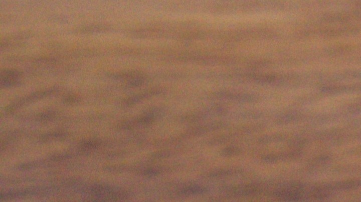 Cebollas rellenas de salmón y eneldo