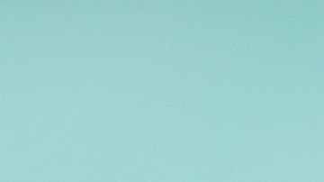 Flautas de verduras asadas