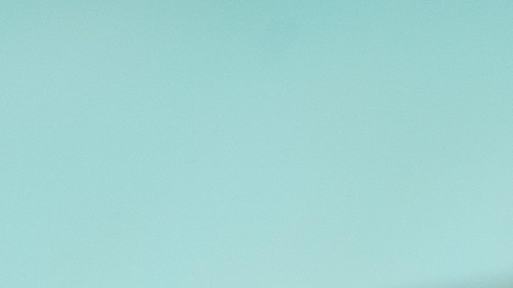 Flautas de verduras asadas