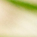 Dos jugos saludables