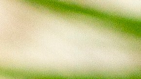 Dos jugos saludables