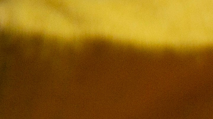 leche dorada desintoxicante