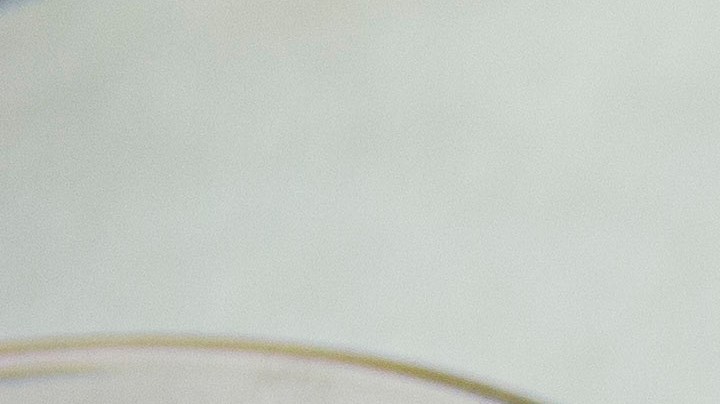 pasta con pollo y espinacas al horno