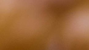 Pechugas de pollo a la plancha con salsa de limón y hierbas