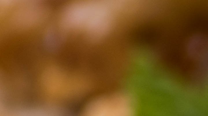 Pechugas de pollo a la plancha con salsa de limón y hierbas