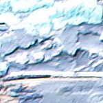 Robalo al horno con tomate y albahaca