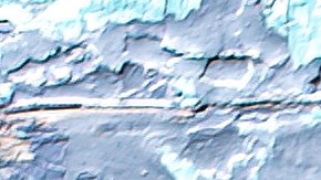 Robalo al horno con tomate y albahaca