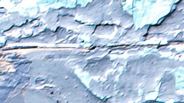 Robalo al horno con tomate y albahaca