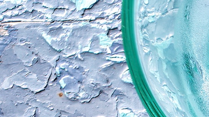 Robalo al horno con tomate y albahaca