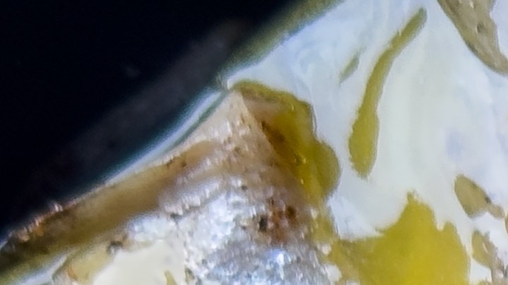 Robalo con reducción de cítricos