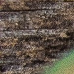 Robalo con salsa de mango