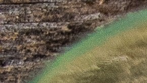 Robalo con salsa de mango