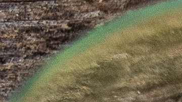 Robalo con salsa de mango