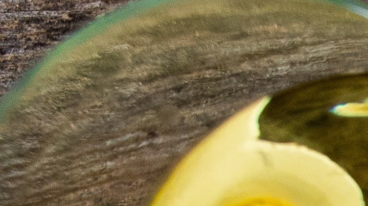 Robalo con salsa de mango