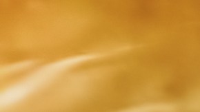 Robalo con salsa de vino blanco