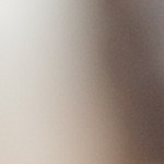 Robalo en caldo de mariscos