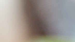 Robalo en caldo de mariscos