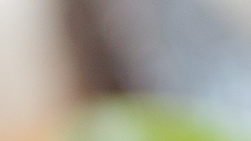 Robalo en caldo de mariscos