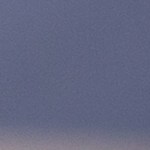 Robalo en salsa de limón y eneldo