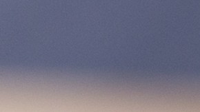 Robalo en salsa de limón y eneldo