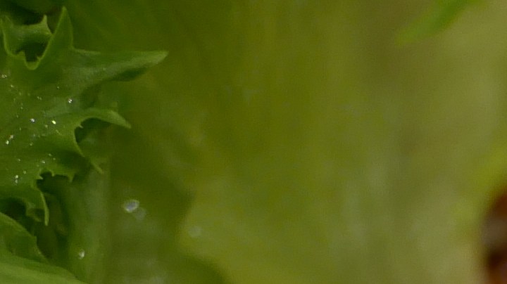 Robalo en salsa teriyaki