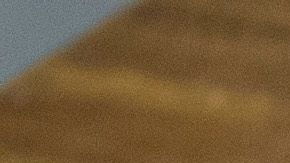 omelettes a la mexicana