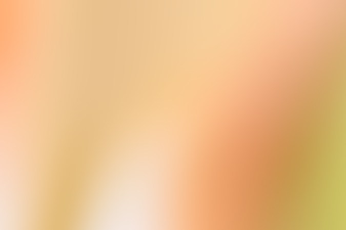 Calabacines rellenos de salmón ahumado