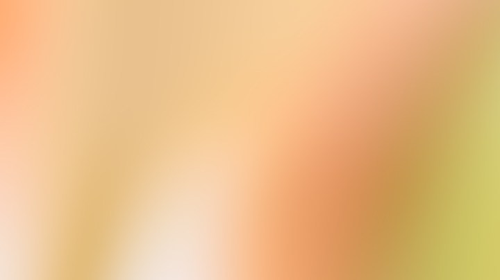 Calabacines rellenos de salmón ahumado