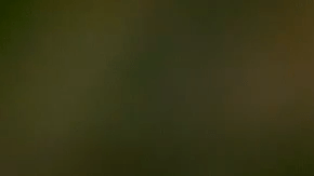 marquis de chocolate