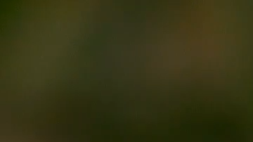 marquis de chocolate